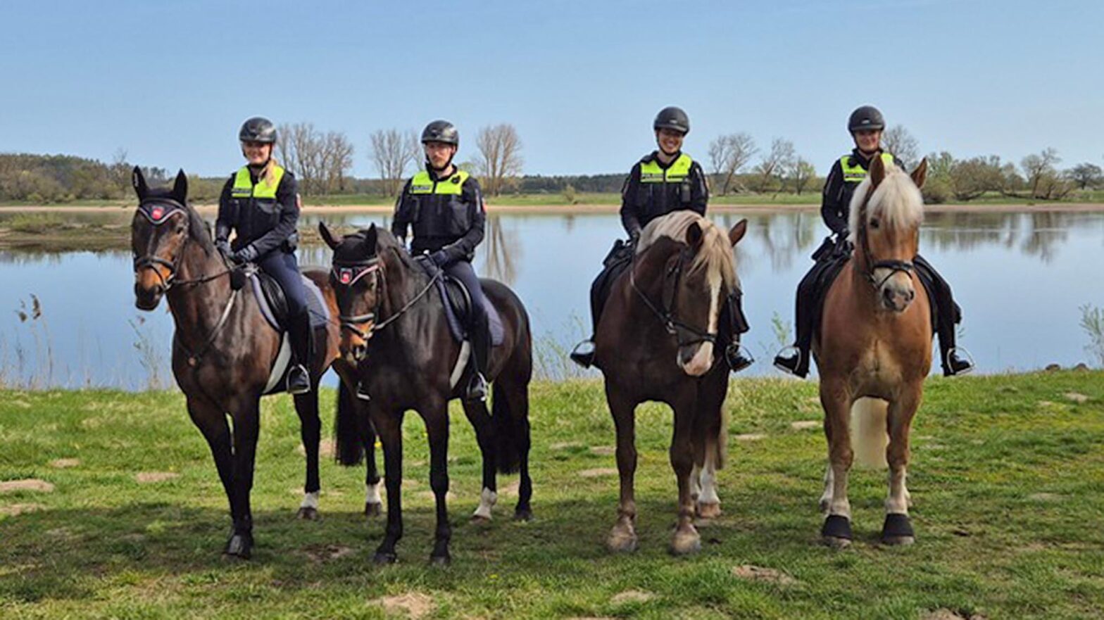 Polizeireiter wieder da
